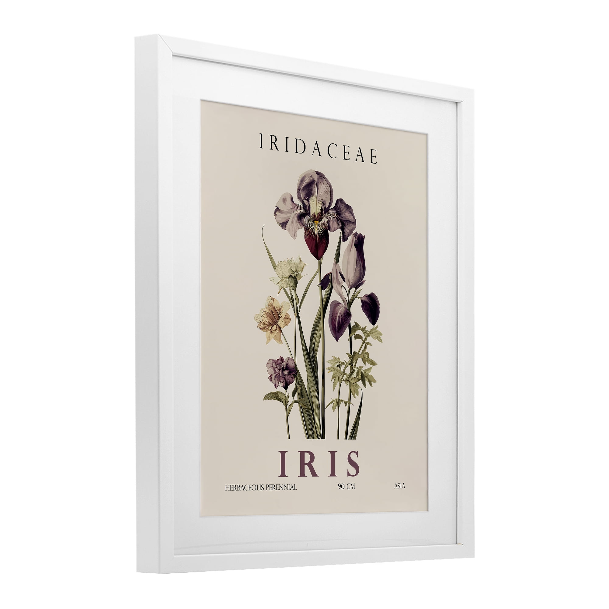 Stupell Industries Natural Iris Bundle White Framed Print Under Glass, design by Christopher Giampietro