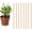 10PCS, variant on Copper Garden Stakes, 2026 Upgraded Electroculture Plant Stakes, Copper Rods for Garden, Electro Culture Gardening Antenna for Gardening Growing Plants and Vegetables (6PCS,13.5 Inches)