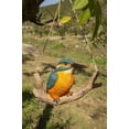 thumbnail image 7 of Hi-Line Gifts 5.75" Hanging Kingfisher on a Branch Outdoor Garden Statue, 7 of 7