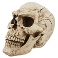 thumbnail image 1 of Design Toscano Sinister Simon Giant Skull Sculpture, 1 of 4