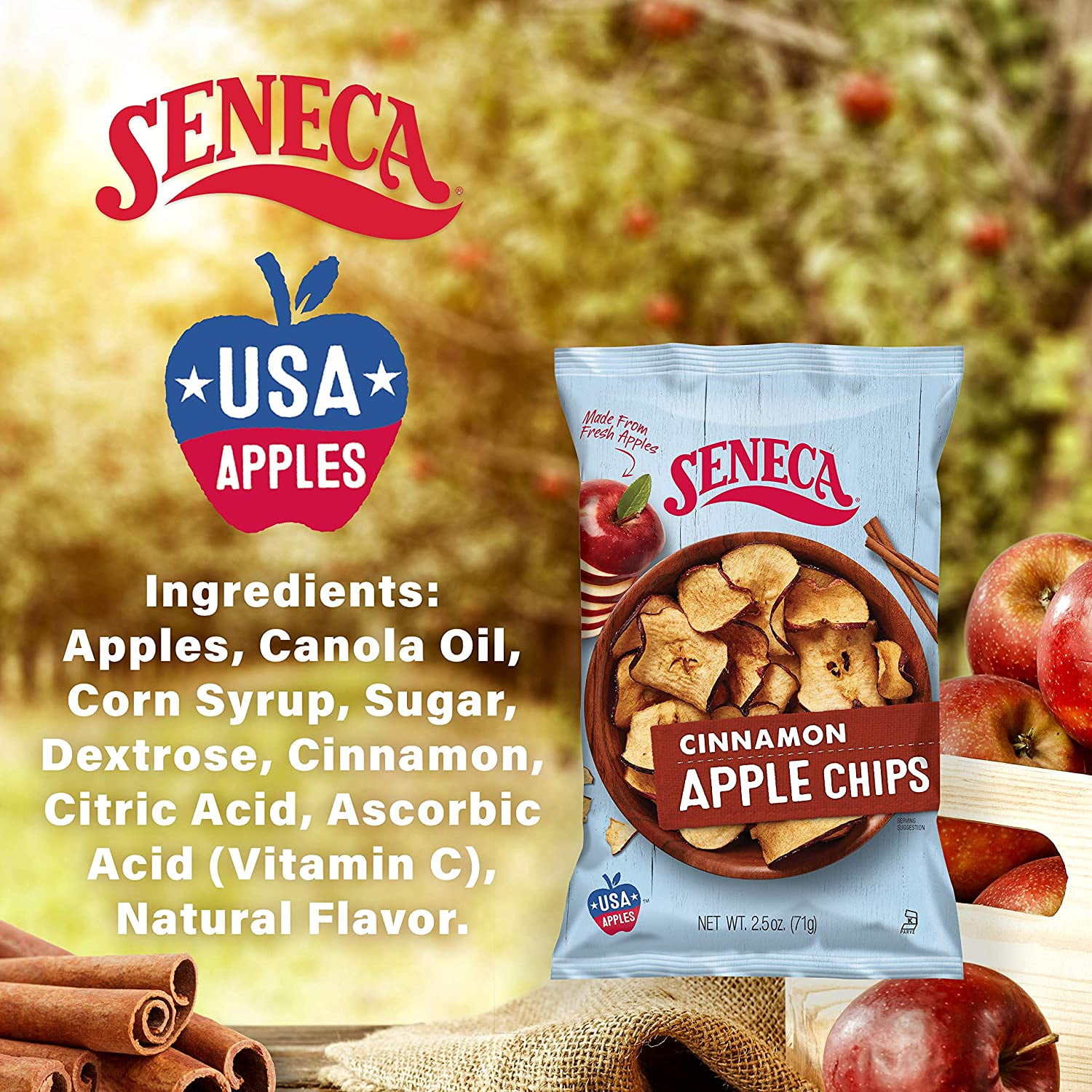 12 PACKS : Seneca Cinnamon Apple Chips,2.5-Ounce Bags