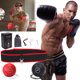 thumbnail image 3 of Pelota Entrenamiento Boxeo Con Diadema para Mejorar La Velocidad Del Equipo Boxeo (2 Pelotas), 3 of 9