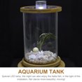 thumbnail image 4 of BRIGHTFUFU Desktop Small Fish Tank Hydroponic Planter Green Office Accessory 1 Set, 4 of 6