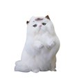 thumbnail image 2 of Gwong Juguete Simulated Fat Cat Stuff Toy Handicraft Photography Props Home Car Decor Regalo Gwong 30001251, 2 of 7