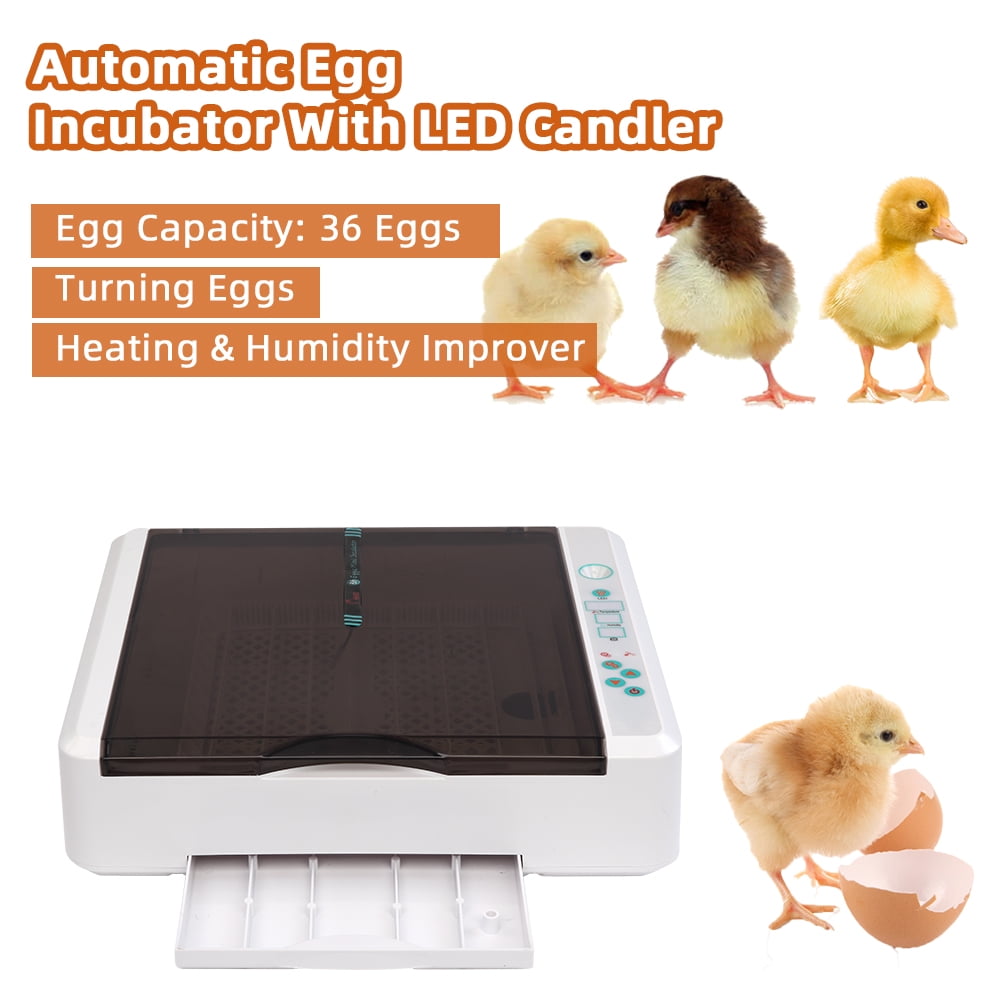 Private Jungle Egg Incubator with Automatic Egg Turning and Pull-out Water Tray for 36 Chicken Duck Bird Quail Goose Eggs Private Jungle Egg Incubator with Automatic Egg Turning and Pull-out Water Tray for 36 Chicken Duck Bird Quail Goose Eggs