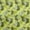 Lime, variant on oneOone Polyester Spandex Gray Fabric Tropical Fabric For Sewing Printed Craft Fabric By The Yard 56 Inch Wide