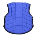 thumbnail image 1 of Chaleco de seguridad para montar a caballo, chaleco ecuestre para niños, chaleco ecuestre de espuma para niños, protector corporal para montar a caballo para niños, apariencia llamativa, 1 of 14