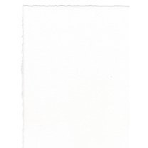 Arches Watercolor Paper 140 Lb. Rough Bright White 22 In. X 30 In. Sheet (100511511)