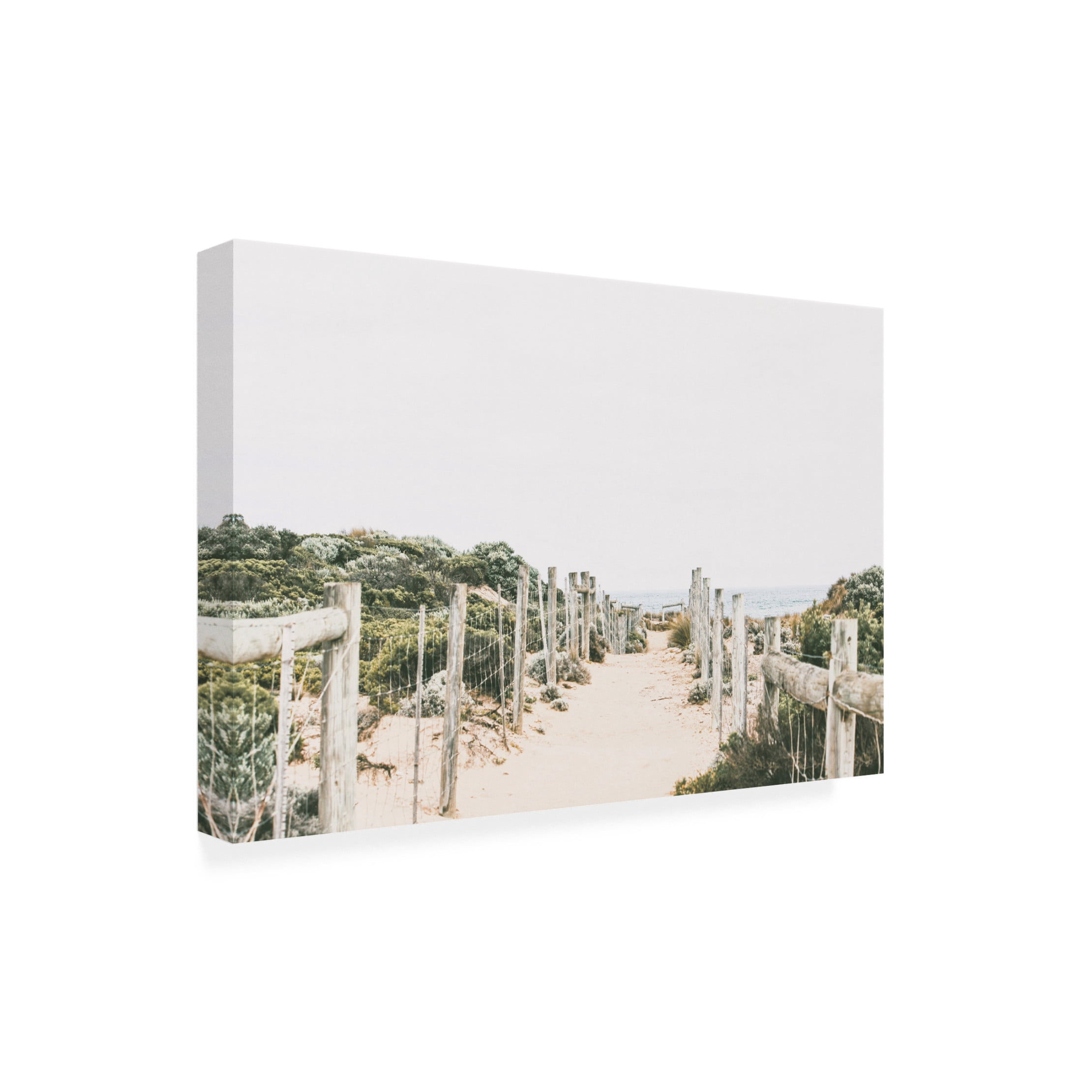 Canvas Wall Art - Krista Broadway 'Lessie' Wall Art for Living Room, Bedroom, or Office Décor by Trademark Fine Art - 47 x 30 Inches