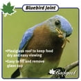 thumbnail image 6 of Backyard Essentials BE148 Bluebird Joint, 6 of 9