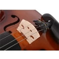 Tcbosik Acoustic Violin 4/4 Full Size, Fiddle Set with Case, Bow and