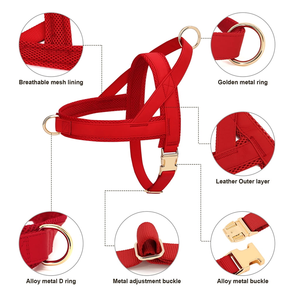 Pet Artist No-Pull Pet Harness and Leash Set, Breathable Mesh & Padded Vest, Front Clip, Adjustable PU Leather with Metal Buckle for Small to Large Dogs