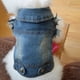thumbnail image 5 of Fiudx Chaleco para Perro Teddy Bomei, Elegante Prenda para Primavera y Verano, Diseño Cómodo y Moderno, Fácil de Usar, Chaleco con Agujeros Rotos a La Moda, Perfecto para Actividades Al Aire Libre, A, 5 of 7