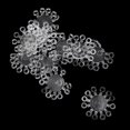 thumbnail image 4 of Boilies de pellets de pesca Cola Bandas de cebo de pellets 10 Uds., 4 of 7