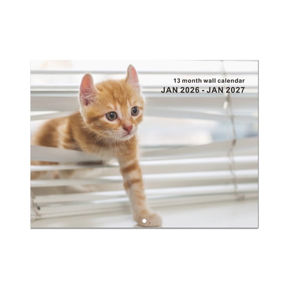 2026 Collectible Cats Themed Calendar Featuring Monthly Unique Illustrations For