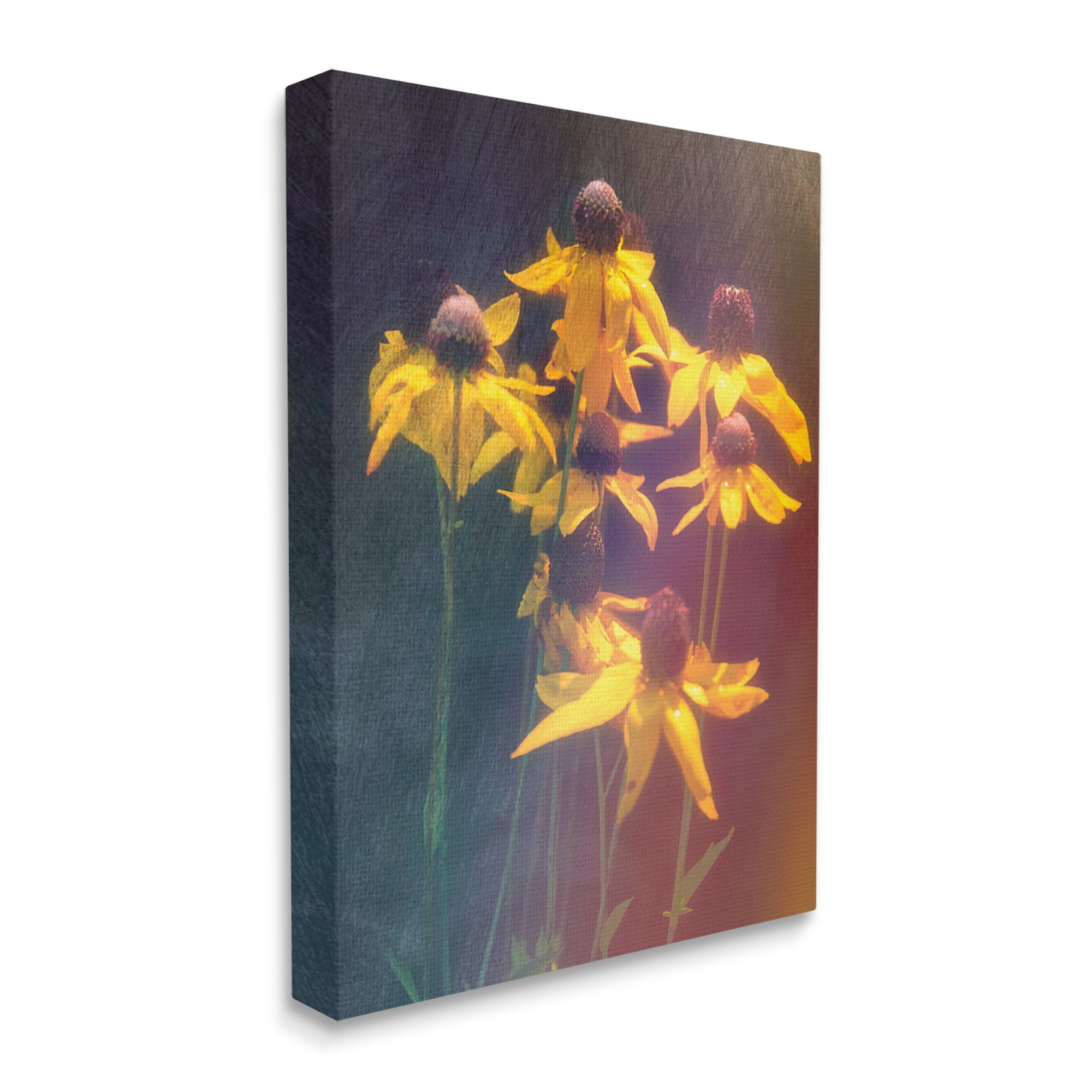 Stupell Industries Black-Eyed Susan Photography Botanical & Floral Photography Gallery Wrapped Canvas Art Print Wall Art, 24 x 30