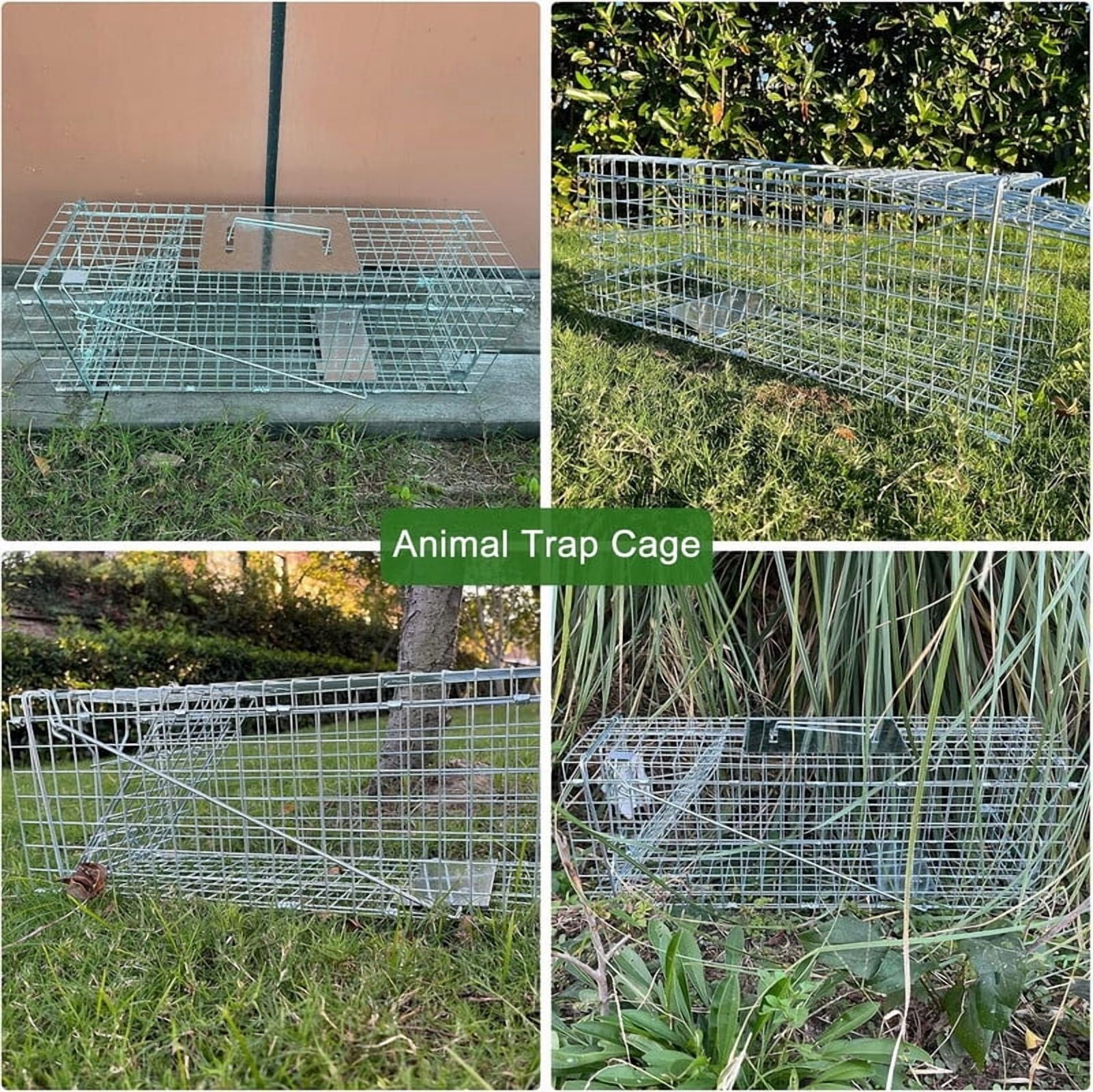 Live Animal Cage Traps,24in Rabbit Trap,Humane Way Folding Raccoon Traps for Stray Cats,Squirrels,Live Traps for Raccoons,Steel Foldable with Pedal Triggers