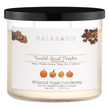 Halarosis, 17 oz, Soy Candle, Toasted Spiced Pumpkin, Container Candle