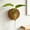 1Pc, variant on Plant Propagation Station, Wall Hanging Plants Terrarium, Wall Mounted Vases Flower Pots, Hydroponic Plants Vases, for Home Office Decor, Test Tube Propagate Air Plant Cutting Holder,1Pc