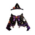 thumbnail image 2 of Halloween Cat Witch with Adjustable Cloak, Black and Purple Wizard Cape with Pumpkin Ornament and Hat for Medium Large Cats, Pet Apparel and Accessories, 2 of 5