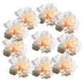 thumbnail image 2 of 2x 10 Uds. de cabezas de flores artificiales de 9cm, cabezas de peonía de seda para flores de boda, pinza para el pelo Zulema cabeza de flor artificial, 2 of 8