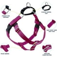 thumbnail image 2 of 2 Hounds Design Freedom No Pull Dog Harness and Leash Set | Comfortable Control for Easy Walking | Small, Medium & Large Dogs | 5/8" SM Raspberry, 2 of 3