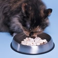 thumbnail image 4 of Dr. Catsby Food Bowl For Whisker Fatigue, 4 of 6