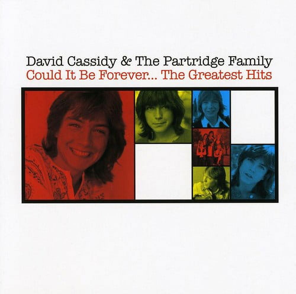 David Cassidy - I Think I Love You - Music & Performance - Vinyl