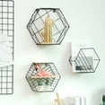 thumbnail image 3 of SPRING PARK Floating Shelves Wall Mounted Metal Wire Art Hexagon Shelves with Solid Wood Board for Plant Display, Storage Rack & Organiser, Home Decoration Wall Shelf, 3 of 7