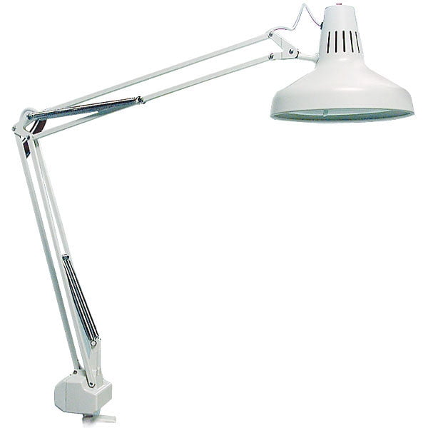 Circline Light Fixture