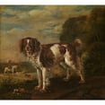 thumbnail image 3 of Paulus Potter 22x20 Black Modern Framed Museum Art Print Titled - A Spaniel (1653), 3 of 5