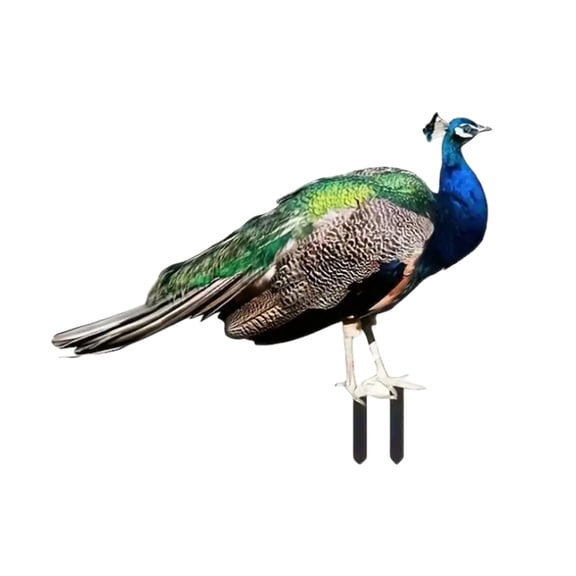 Elegant Garden Statue Acrylic Decoration for Outdoor Garden Enthusiasts | Elegant Outdoor with Decorative Novelty Art and Acrylic Crafting