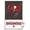 Poster & Mount Bundle, variant on NFL Tampa Bay Buccaneers - Logo 21 Wall Poster with Push Pins, 22.375" x 34"