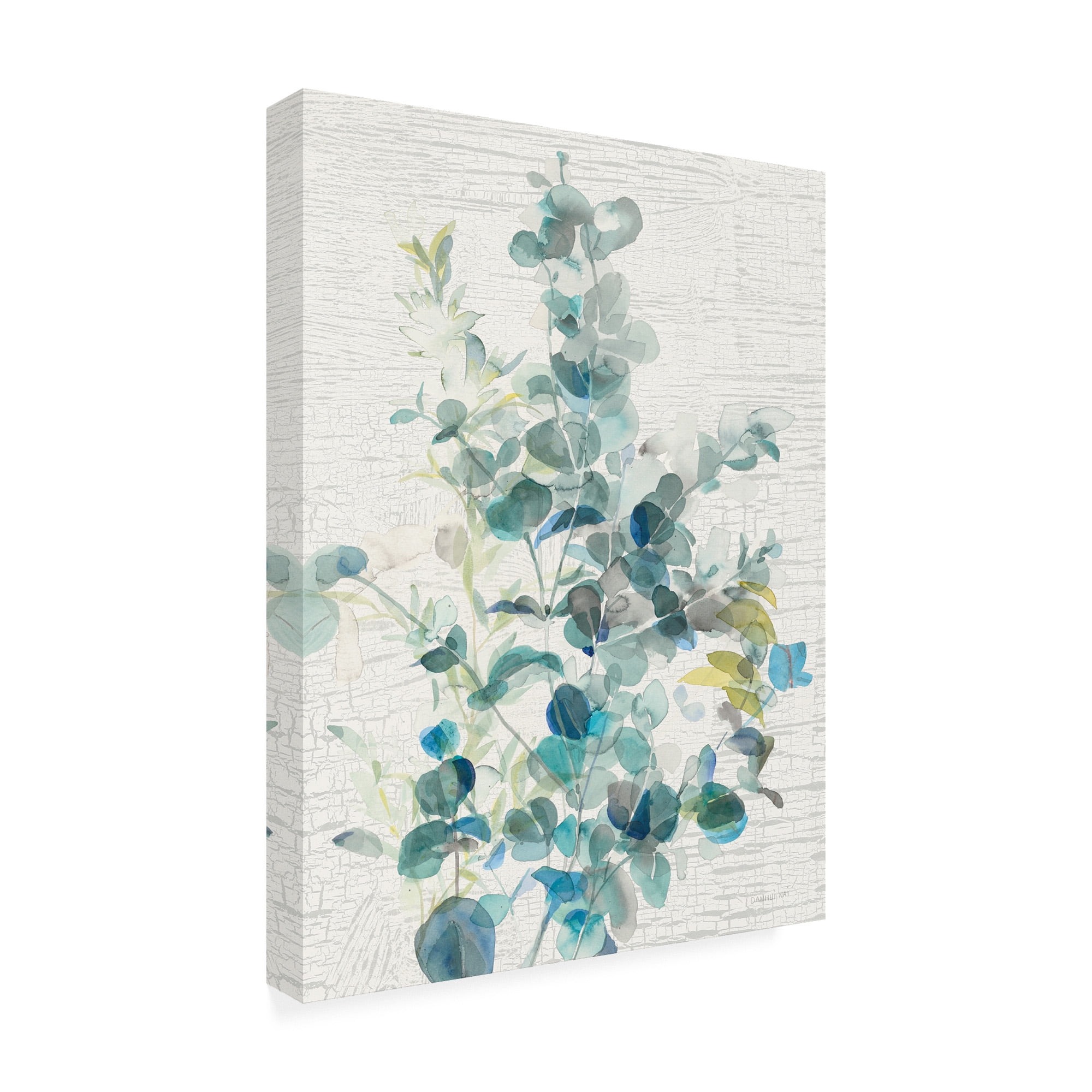 Trademark Fine Art 'Eucalyptus IV Vintage' Canvas Art by Danhui Nai