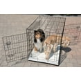 thumbnail image 2 of 36" Wire 2 Door Dog Pet Crate With Mat, 2 of 3