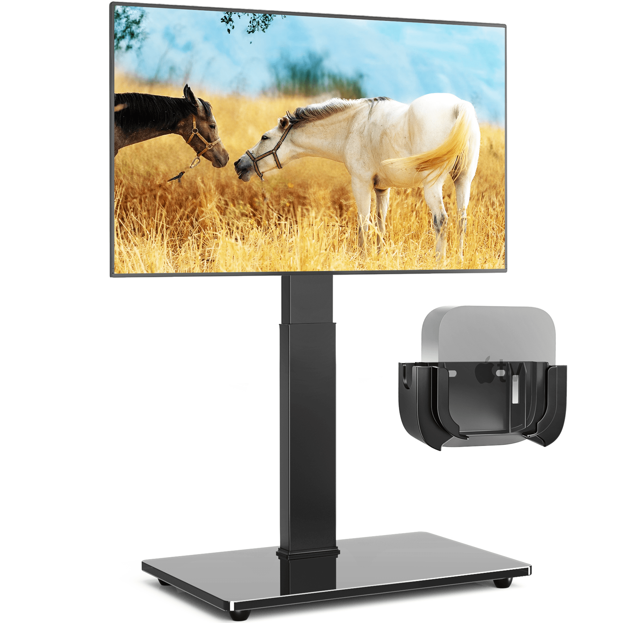 RTVR Modern Swivel Floor TV Stand for LCD LED TVs up to 75 inch Compatible with VESA Mount, Black