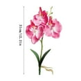 thumbnail image 3 of Orquídea artificial de seda para decoración del hogar y la boda, 3 of 5