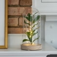 thumbnail image 3 of Mainstays 10" Indoor Tabletop LED Cloche with Faux Plant, 3 of 6