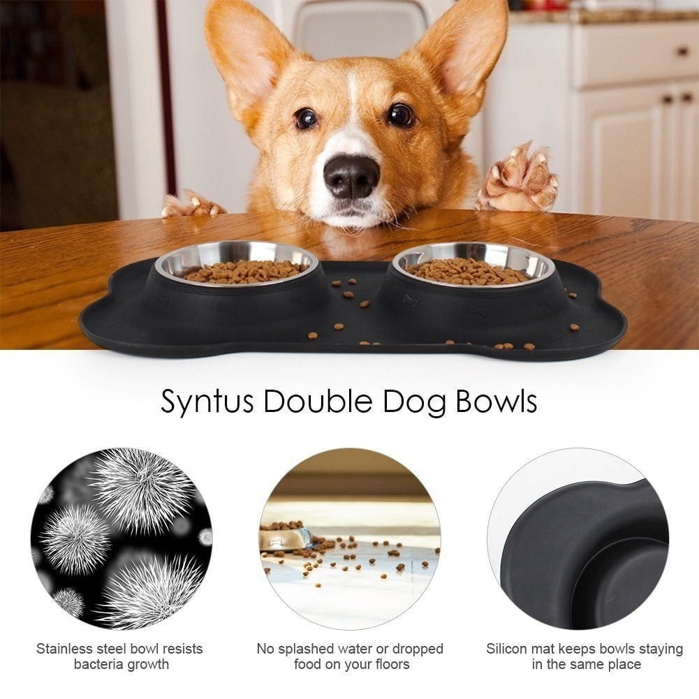 pet dog bowls