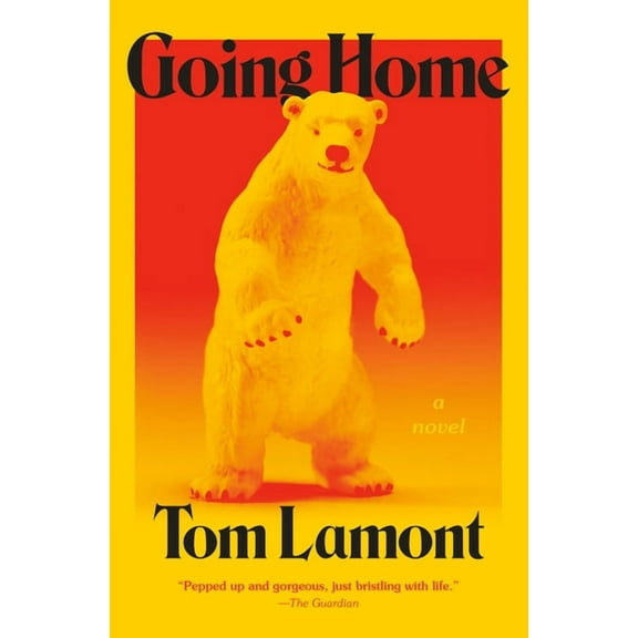 Going Home (Hardcover)