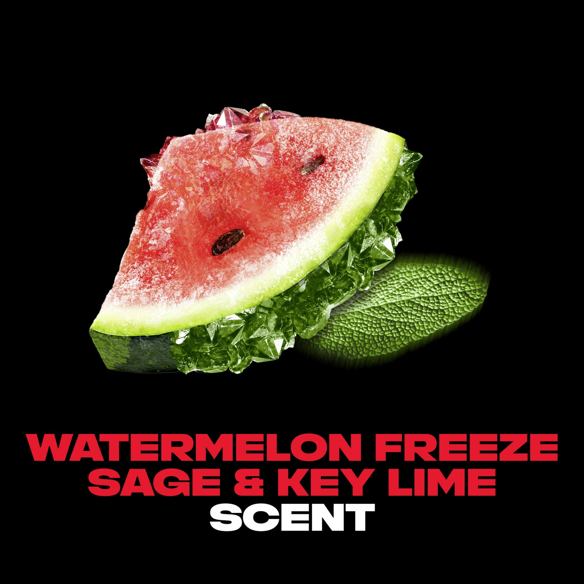 AXE Fine Fragrance Body Spray Variety Pack 4 Pack Touch of