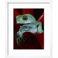 thumbnail image 2 of Monkey Tree Frog, Framed Art Print Wall Art by David Northcott Sold by Art.Com, 2 of 5
