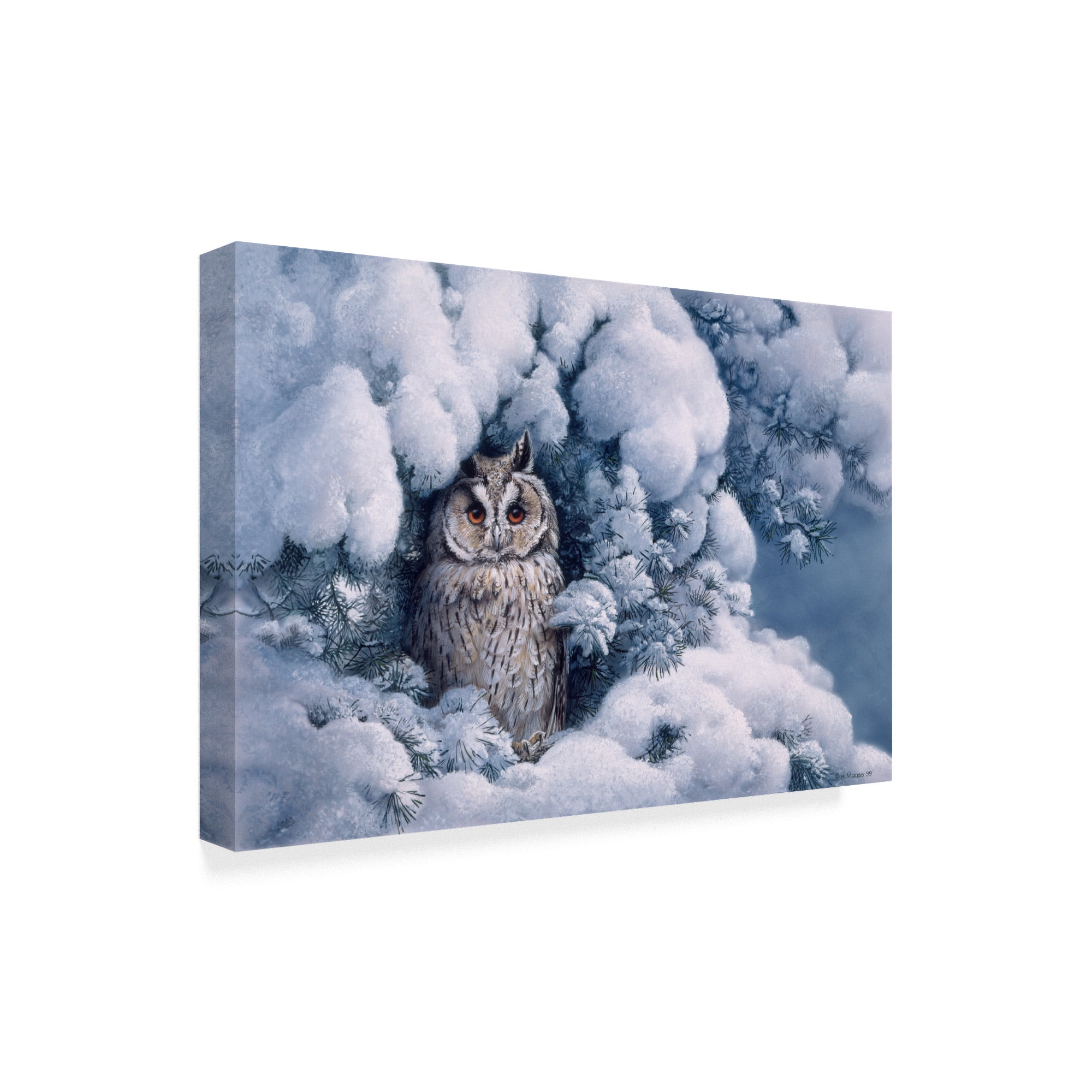 Trademark Fine Art 'Long Eared Owl In Snow' Canvas Art by Harro Maass
