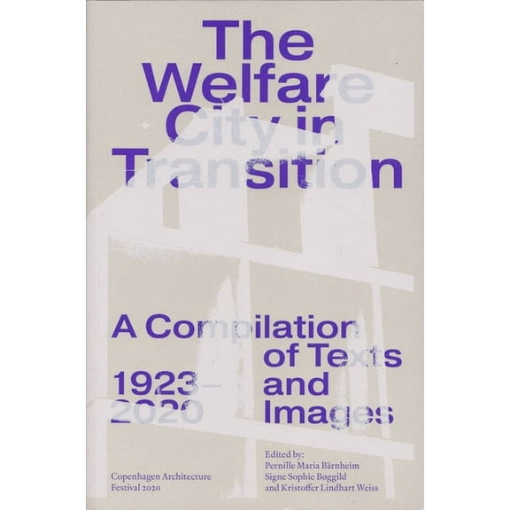 The Welfare City in Transition (Paperback)