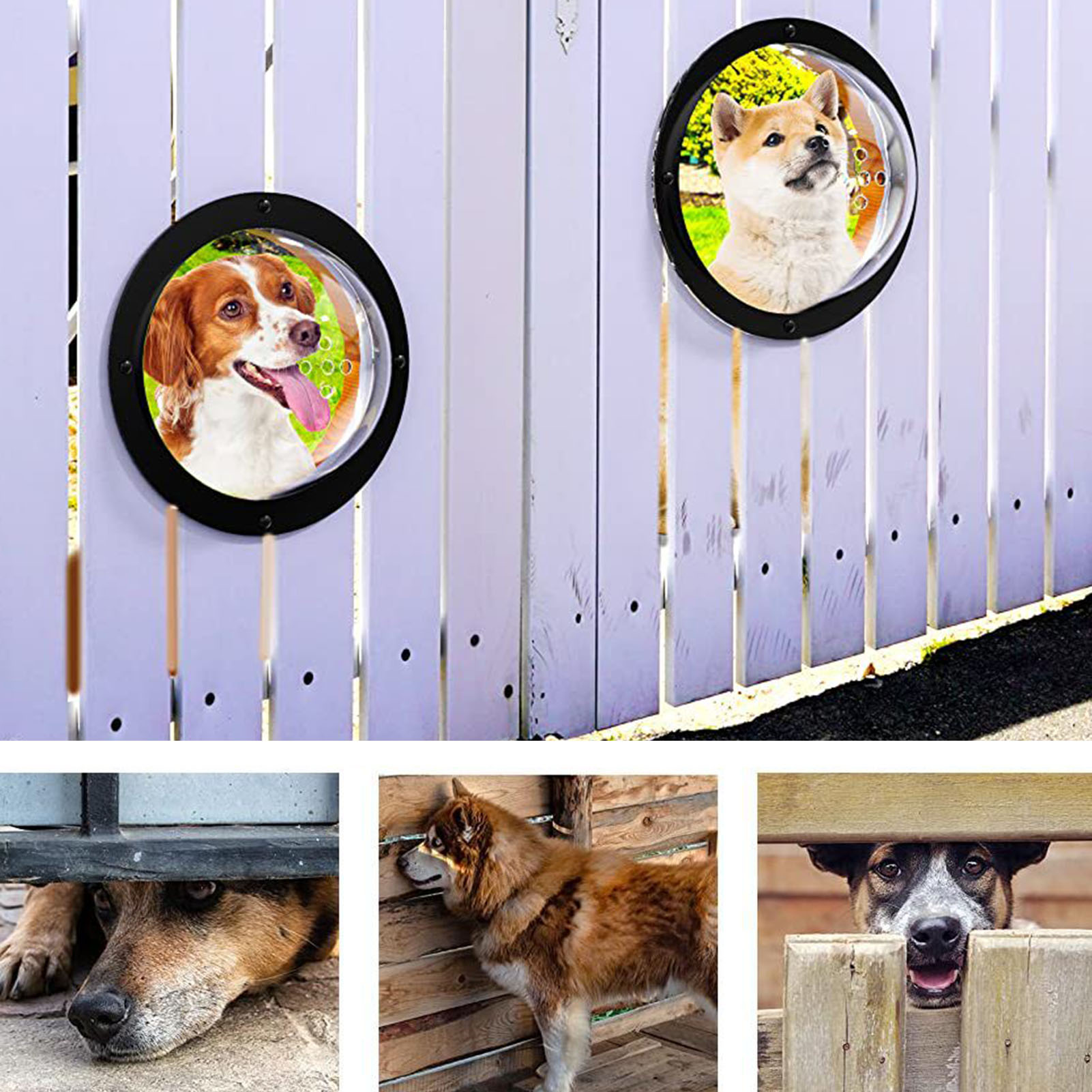 Pnellth Durable Acrylic Fence Window Upgrade Pet View Wide Application Pet Fence Window Dogs Accessories