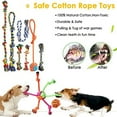 thumbnail image 4 of Aipper Dog Puppy Toys 20 Pack, Puppy Chew Toys for Fun and Teeth Cleaning, Plush Squeaky Toys, Dog Treat Dispenser Ball, Tug of War Toys, Puppy Teething Toys, Dog Rope Toys for Medium to Small Dogs, 4 of 5