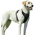 thumbnail image 3 of Reflective Straps Dog Harnesses, Customizable Neck and Chest Fit, No Pull Walking Experience with Adjustable Vest, Easy Control Handle, Quick Snap Buckles, No Choke Design for, 3 of 8