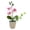 Stripe pink, variant on AOOOWER Fade Resistant Realistic Butterfly Orchids Simulation Faux Potted Plant for Wedding Centerpieces and Room Styling