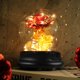 thumbnail image 3 of Cúpula de cristal Lámpara de rosas Flor para siempre Flor cálida Luz de noche Flores eternas Rosa co Irfora Lámpara de mesa, 3 of 7