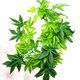thumbnail image 2 of Planta acuática artificial colgante para acuario, pecera, decoración de hojas verdes, 50 cm, 2 of 7